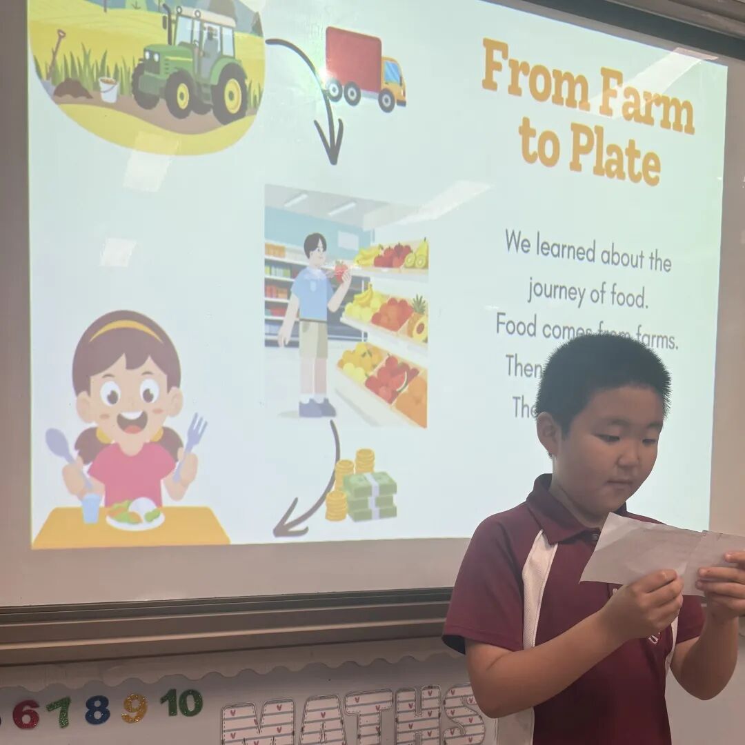 从世界奇迹到3D洞穴，小学部探究结题展精彩纷呈 |  Prep Inquiry Communication Events